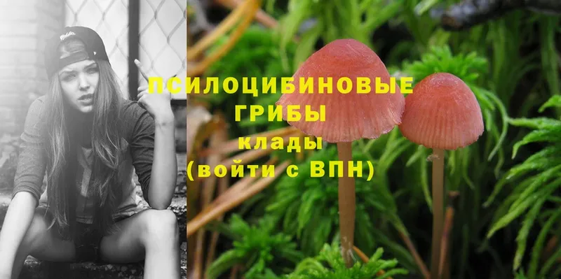 дарк нет состав  Инта  Псилоцибиновые грибы Magic Shrooms 